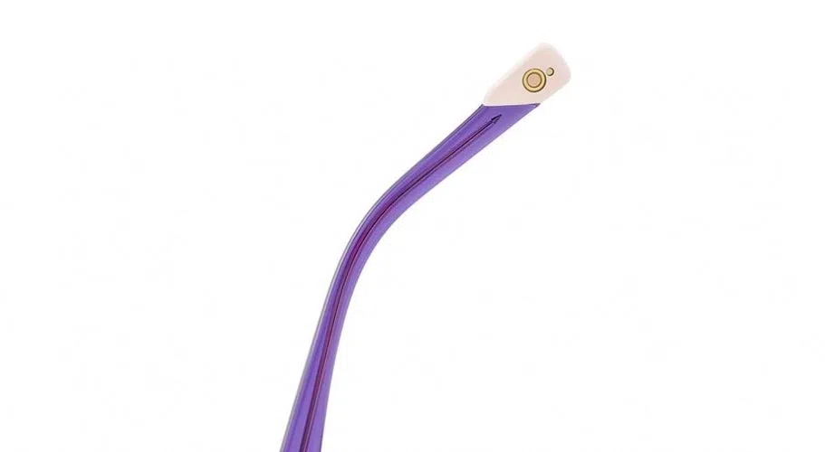 Etnia Barcelona THEIA Eyeglasses - view 13